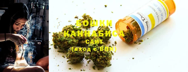 apvp Ельня