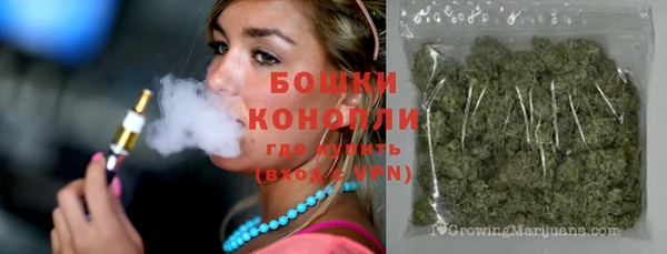 apvp Ельня