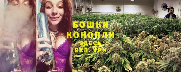 apvp Ельня