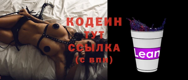 apvp Ельня