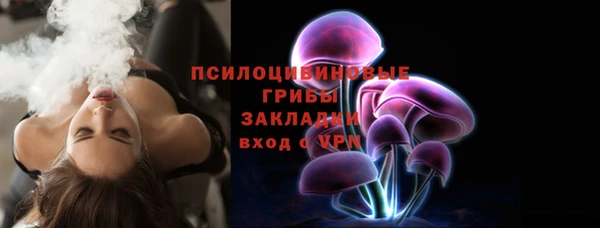 apvp Ельня