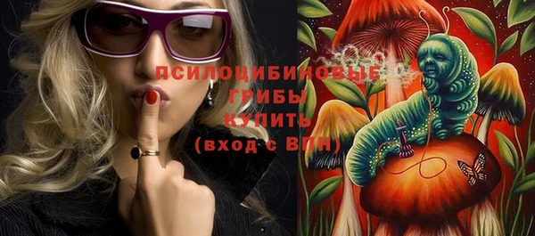 прущая мука Елабуга